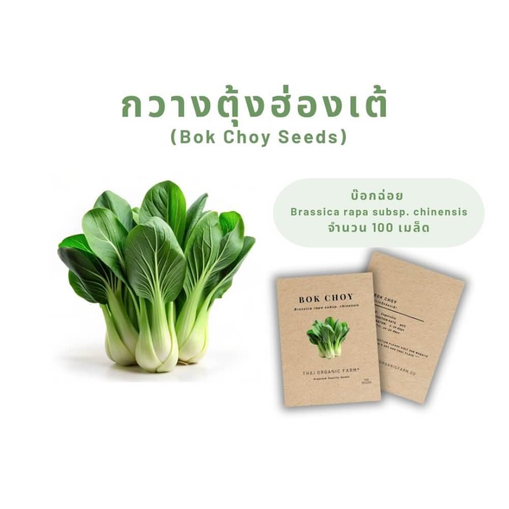 เมล็ดพันธุ์ผักกวางตุ้งฮ่องเต้ (บ็อกชอย) LETPOT ไทย ออแกนิค ฟาร์ม